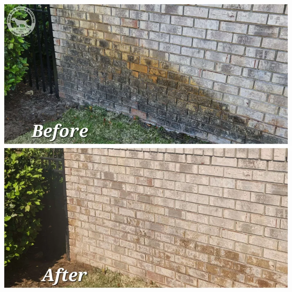 Home Pressure Washing(Before and After)