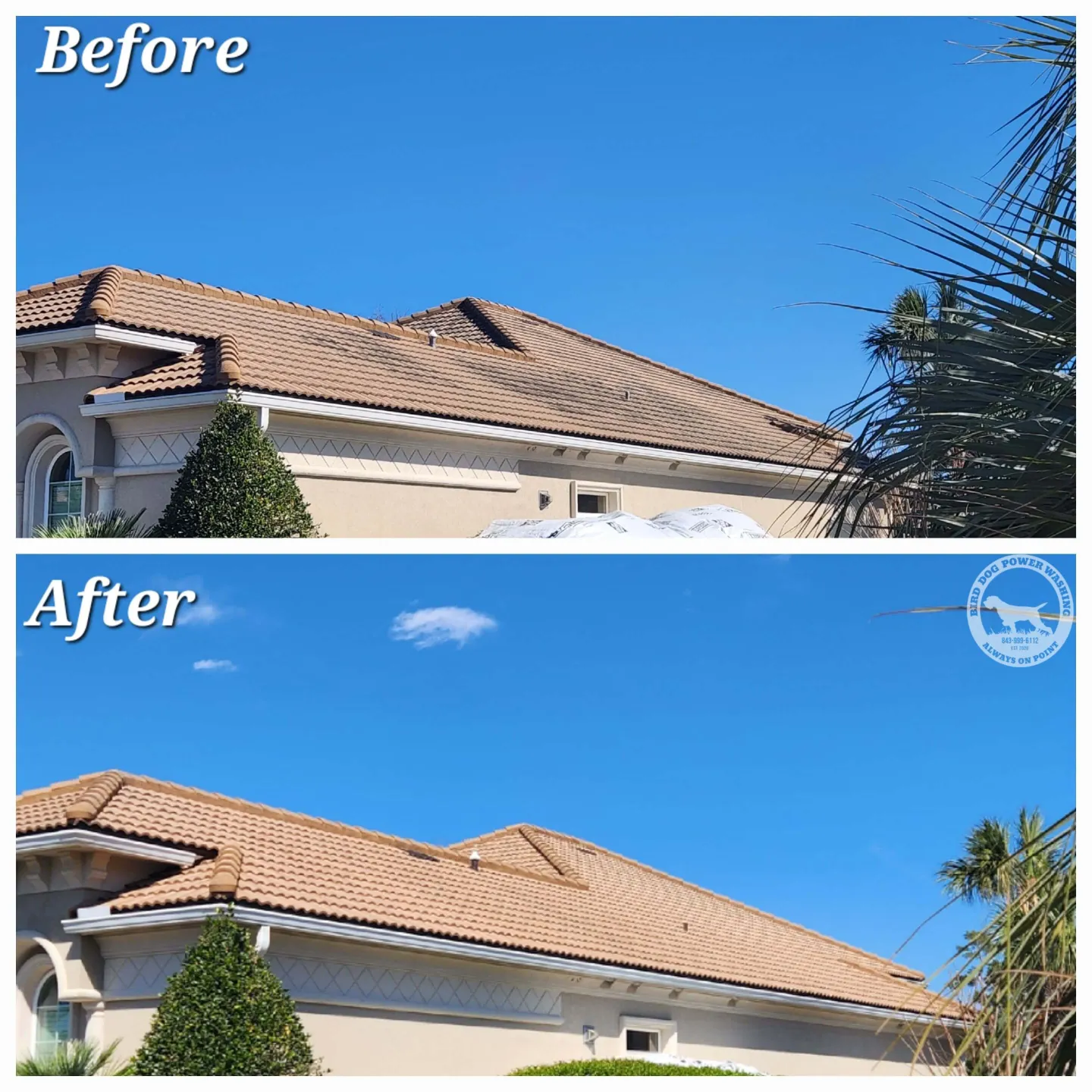 Roof Pressure Washing Service